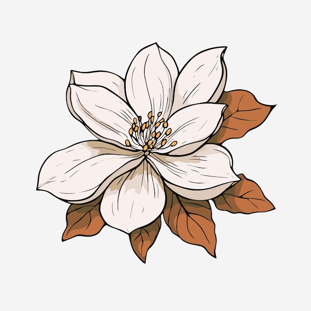 Vector of flower