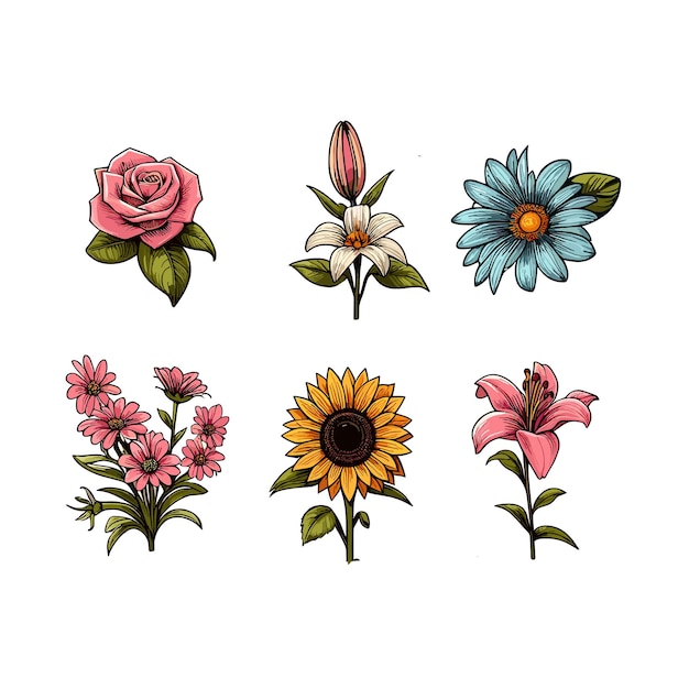 Elementi di illustrazione di una collezione di fiori vettoriali