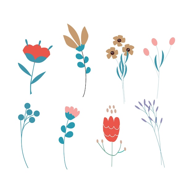 Vector flowers set  botanical elements.