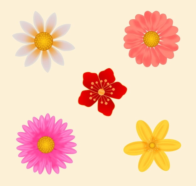 vector flowers set illustration