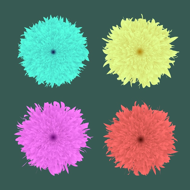 Vector vector flowers set