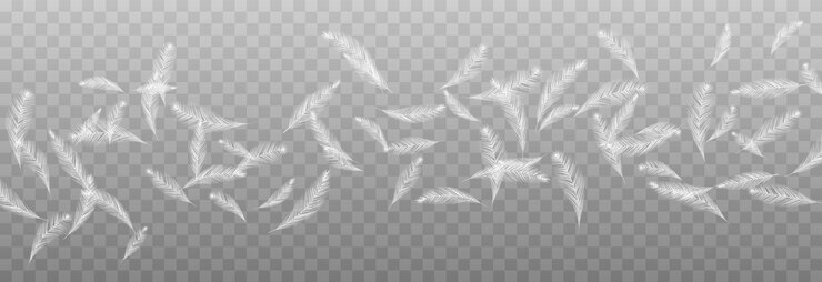Vector vector flying feathers flying feathers png goose or chicken feathers filler for pillows