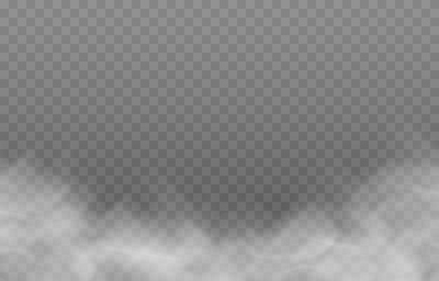 Вектор Векторный туман или дым на изолированном прозрачном фоне. дым, туман или облако png. белый дым png.