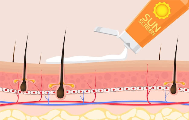 자외선 차단제 광고용 벡터여름 보호 크림