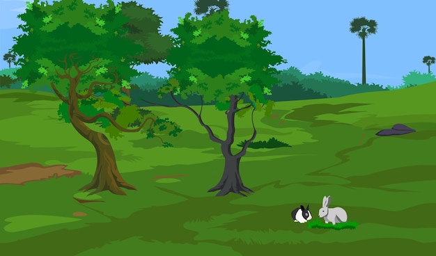 Vector vector forest background with cute rabbits garden park isolated vector illustration