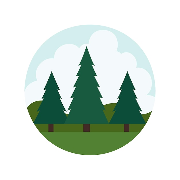 Vector vector forest with pine trees nature scene illustration design