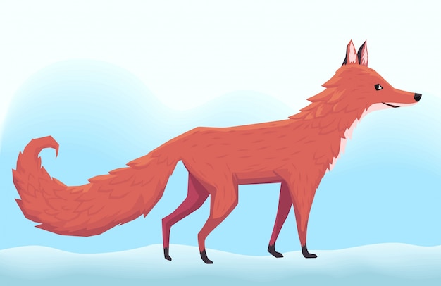 Vector fox illustration