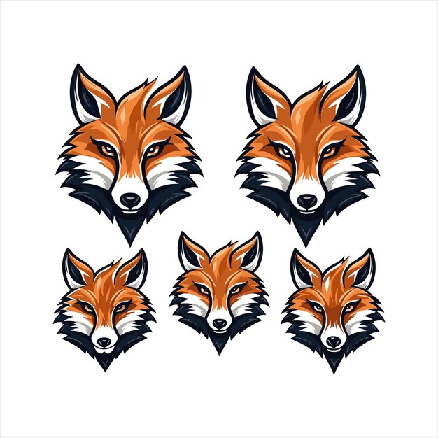 Vector vector fox mascot logo template with white background