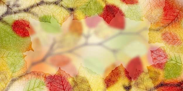 Vector frame of dry leaves autumn