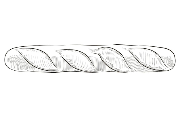 벡터 프랑스 빵 바게트입니다. 흰색 긴 덩어리. 호밀 통곡물 구운 빵. 로고, 아이콘입니다. 현실적인 라인 빈티지 그림을 스케치합니다. 평면도