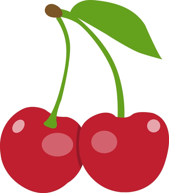 Vector vector fresh cherry fruit healthy