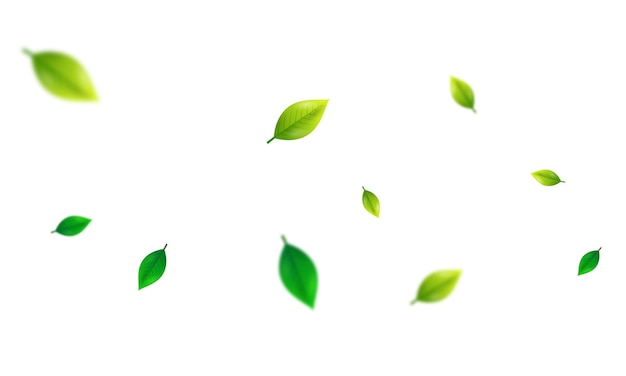 Вектор свежие зеленые листья, летящие на ветру