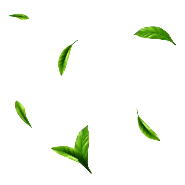 Vector vector fresh green leaves flying on wind