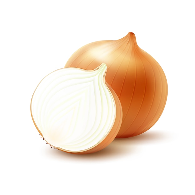 Vector Fresh Whole and Sliced Yellow Onion Bulbs on White