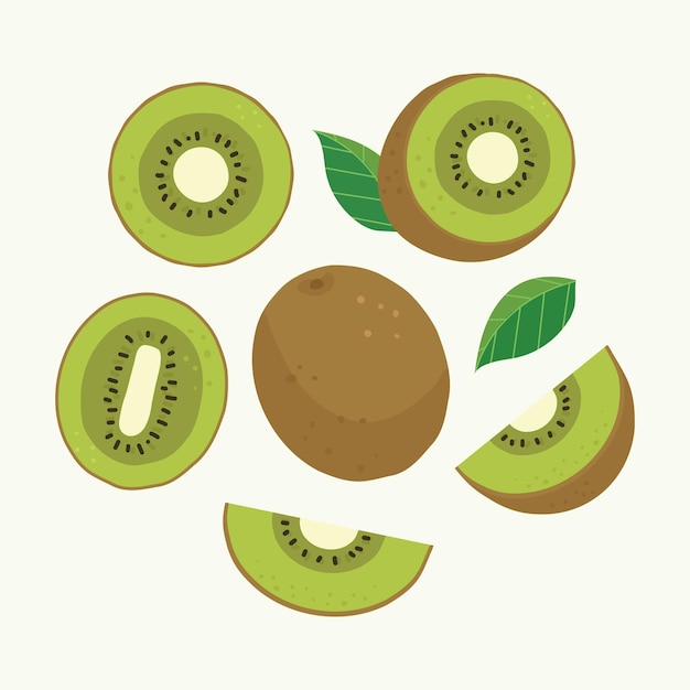 Vector fruit kiwi elements set