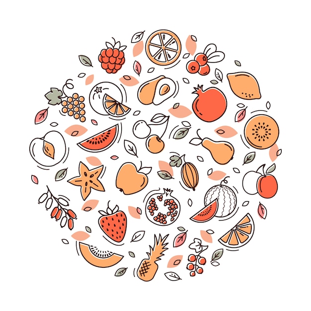 Vector vector fruits illustration.