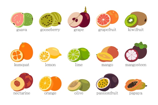 Vector fruits set isolated on white background