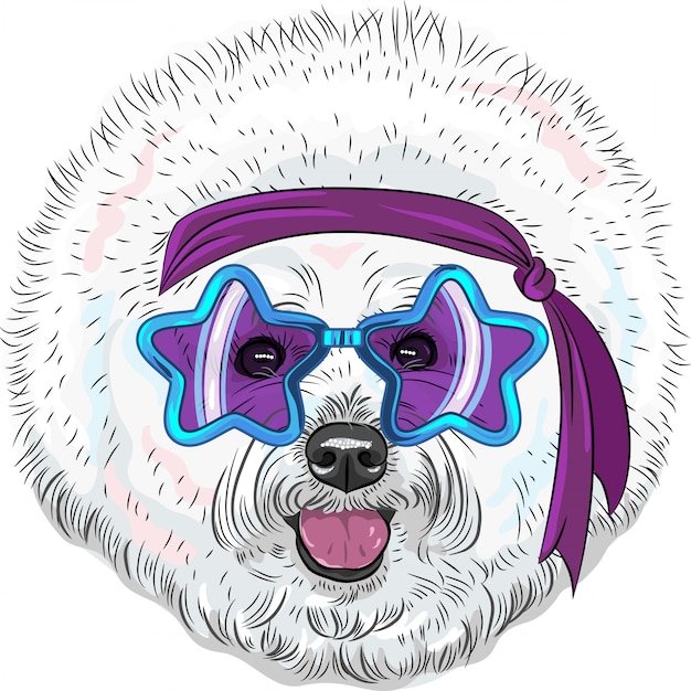 Vector vector funny cartoon hipster dog bichon star disco