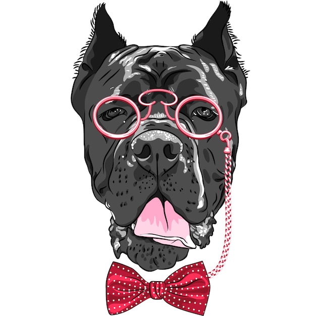 Vector funny cartoon hipster dog cane corso