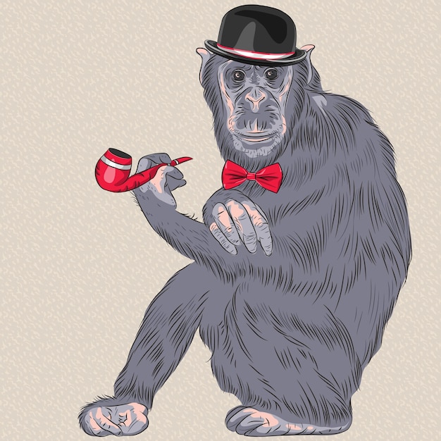 Vector vector funny cartoon hipster monkey