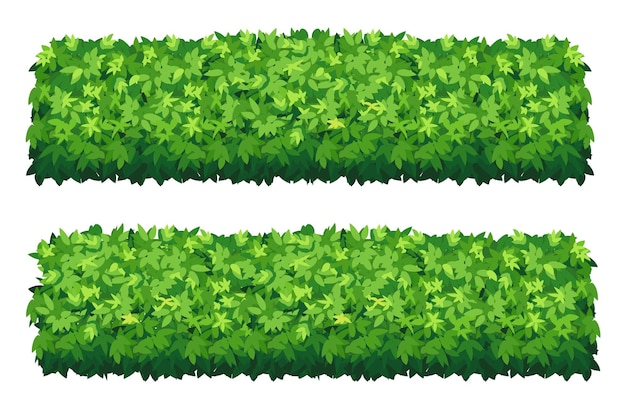 Vector vector garden bush isolated shrub hedge green bush cartoon grass shrubbery plant