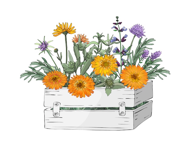Vector i fiori del giardino in una scatola bianca di legno del giardino