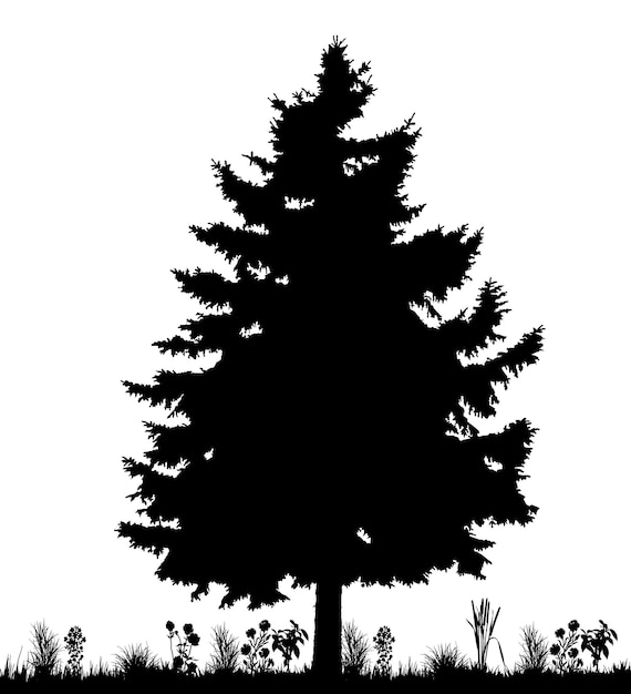 Vector geïsoleerd silhouet van vuren kerstbomen op witte achtergrond