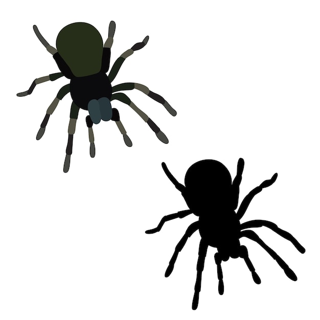 Vector geïsoleerd spin insect spin silhouet icon