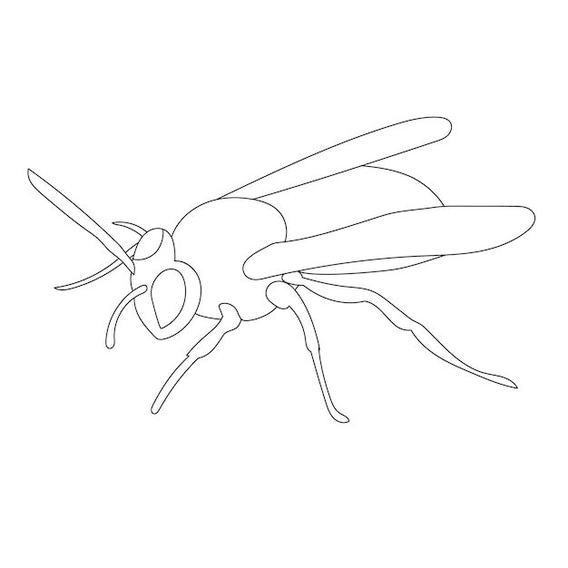 Vector geïsoleerde contour wesp bij op een witte achtergrond