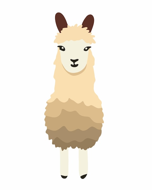 Vector geïsoleerde illustratie van lama dier Alpaca