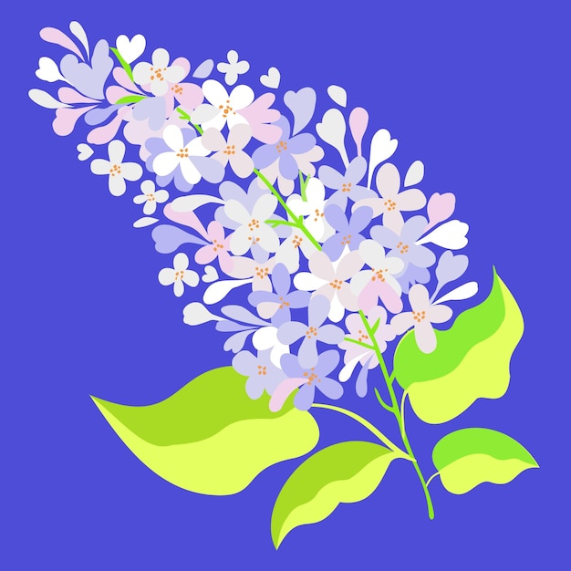 Vector geïsoleerde illustratie van witte lila tak op blauwe achtergrond.