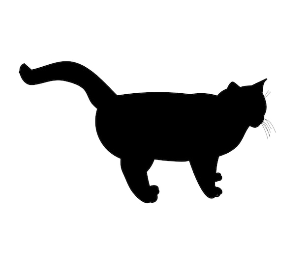 Vector geïsoleerde zwarte silhouetkat