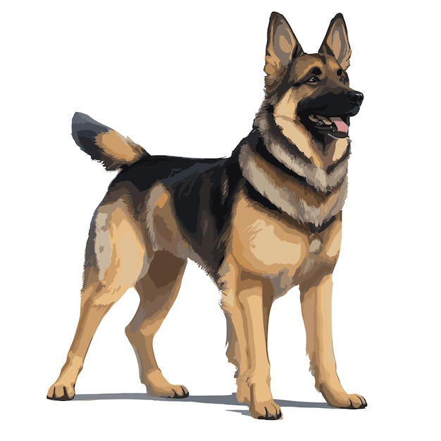 Vector German Shepherd Dog animal clipart editable white background