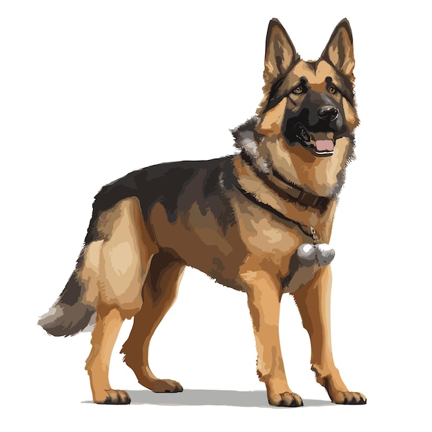 Vector German Shepherd Dog animal clipart editable white background