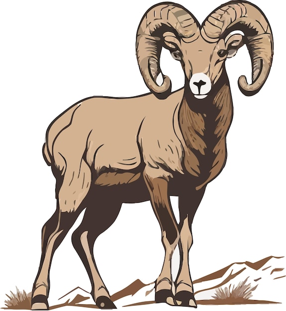 vector of goat