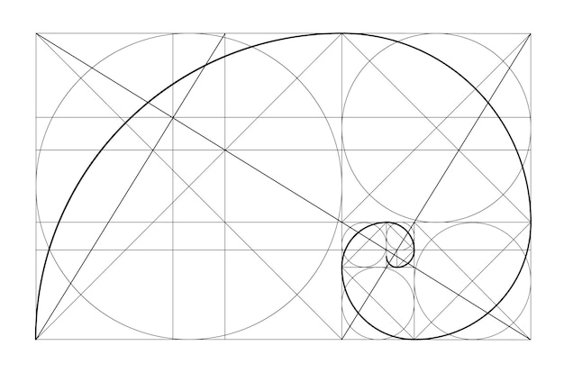 Vettore modello di relazione d'oro vettoriale spirale d'oro rapporto aureo matrice di fibonacci numero di fibonacci divi...