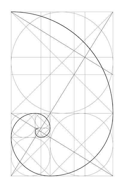 Vector vector golden relationship template golden spiral golden ratio fibonacci array fibonacci number divine proportions