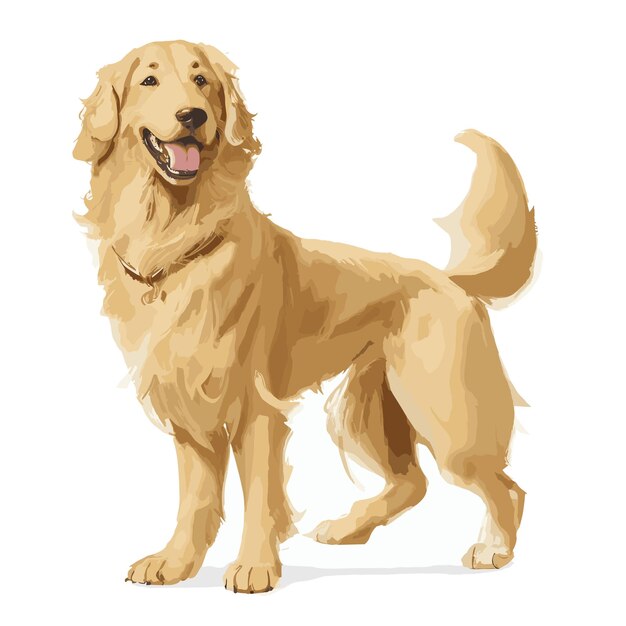 Vector vector golden retriever dog animal clipart editable white background