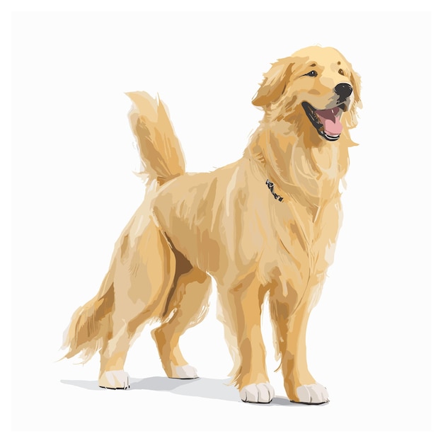 Vector vector golden retriever dog animal clipart editable white background