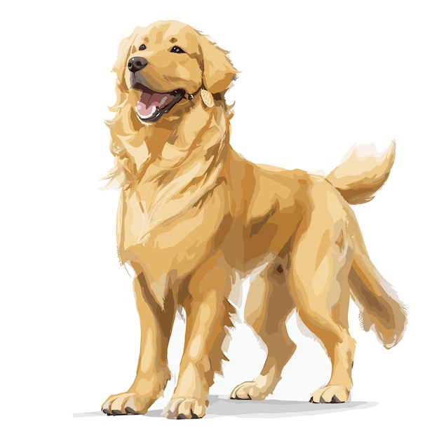 Vector vector golden retriever dog animal clipart editable white background