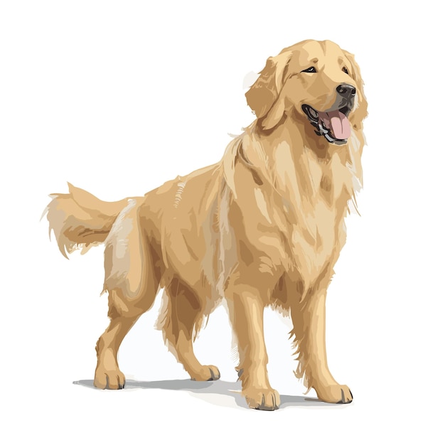 Vector vector golden retriever dog animal clipart editable white background