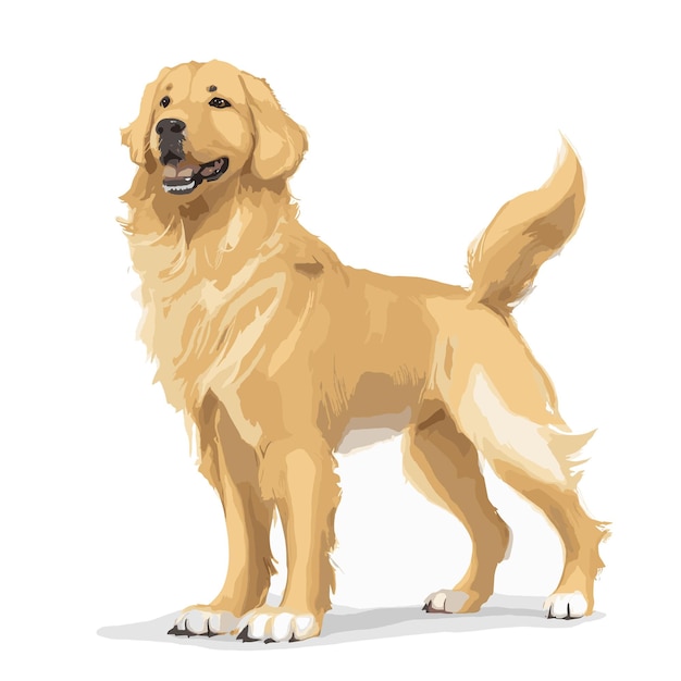 Vector vector golden retriever hond dierlijke clipart bewerkbare witte achtergrond