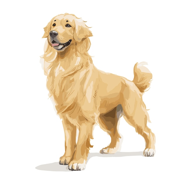 Vector golden retriever hond dierlijke clipart bewerkbare witte achtergrond