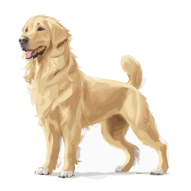 Vector golden retriever hond dierlijke clipart bewerkbare witte achtergrond