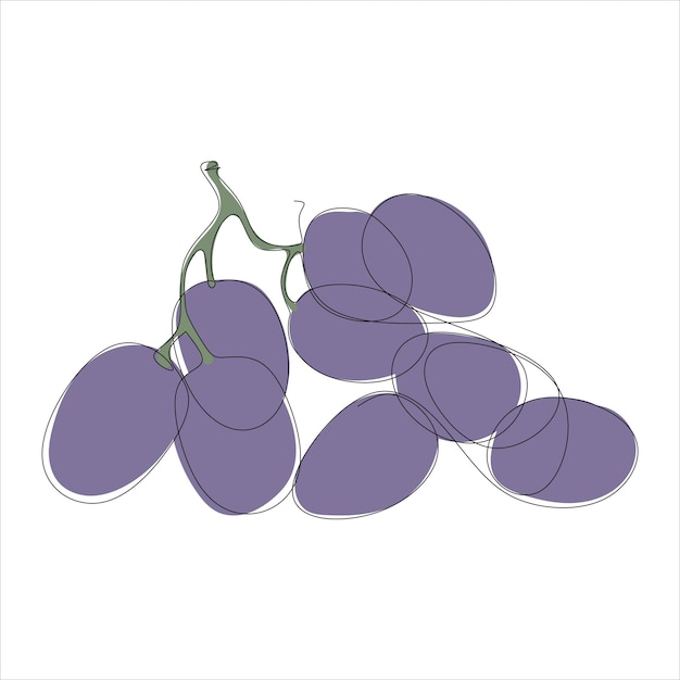 Vector grape fries drawing of one continuous line Color illustration of grape in the style of one l