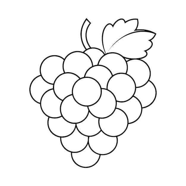 Vector vector grapes fruit isolated coloring page for kids