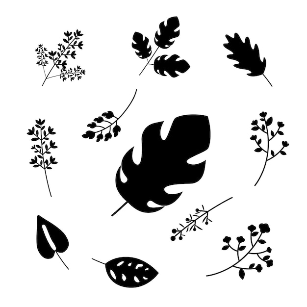 Vector vector graphic of floral collection