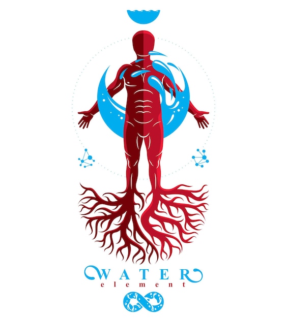 Vector graphic illustration of muscular human, individual created with tree roots and surrounded by a water ball. human water reserves metaphor.