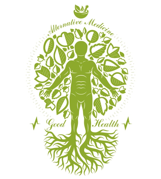 木の続きとして描かれ、乳鉢と乳棒で構成された強い男性のベクトルグラフィックイラスト。植物療法の比喩、健康的なライフスタイルの概念。