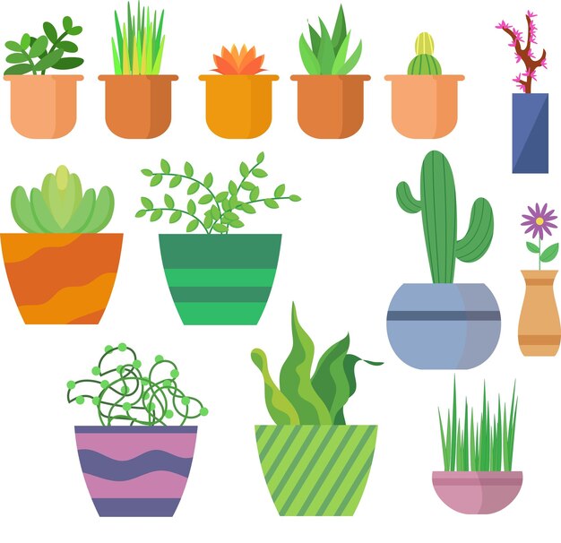 Vector vector graphic illustrationtable plants pot plant for interior design